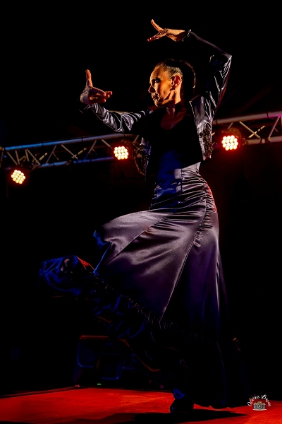 flamenco (103)